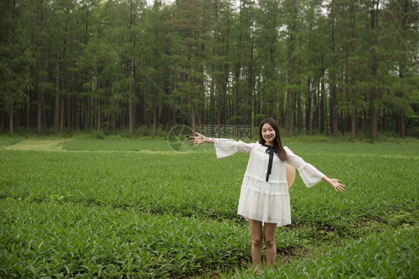 武汉好去处:这些地方喝茶谈事,氛围超赞! 武汉好去处:这些地方喝茶谈事,氛围超赞!